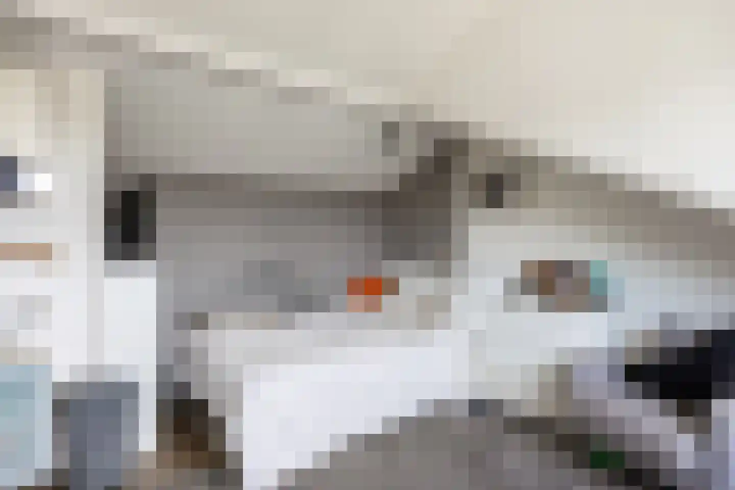 De Lijnbaan 44 Bedum thumbnail 48
