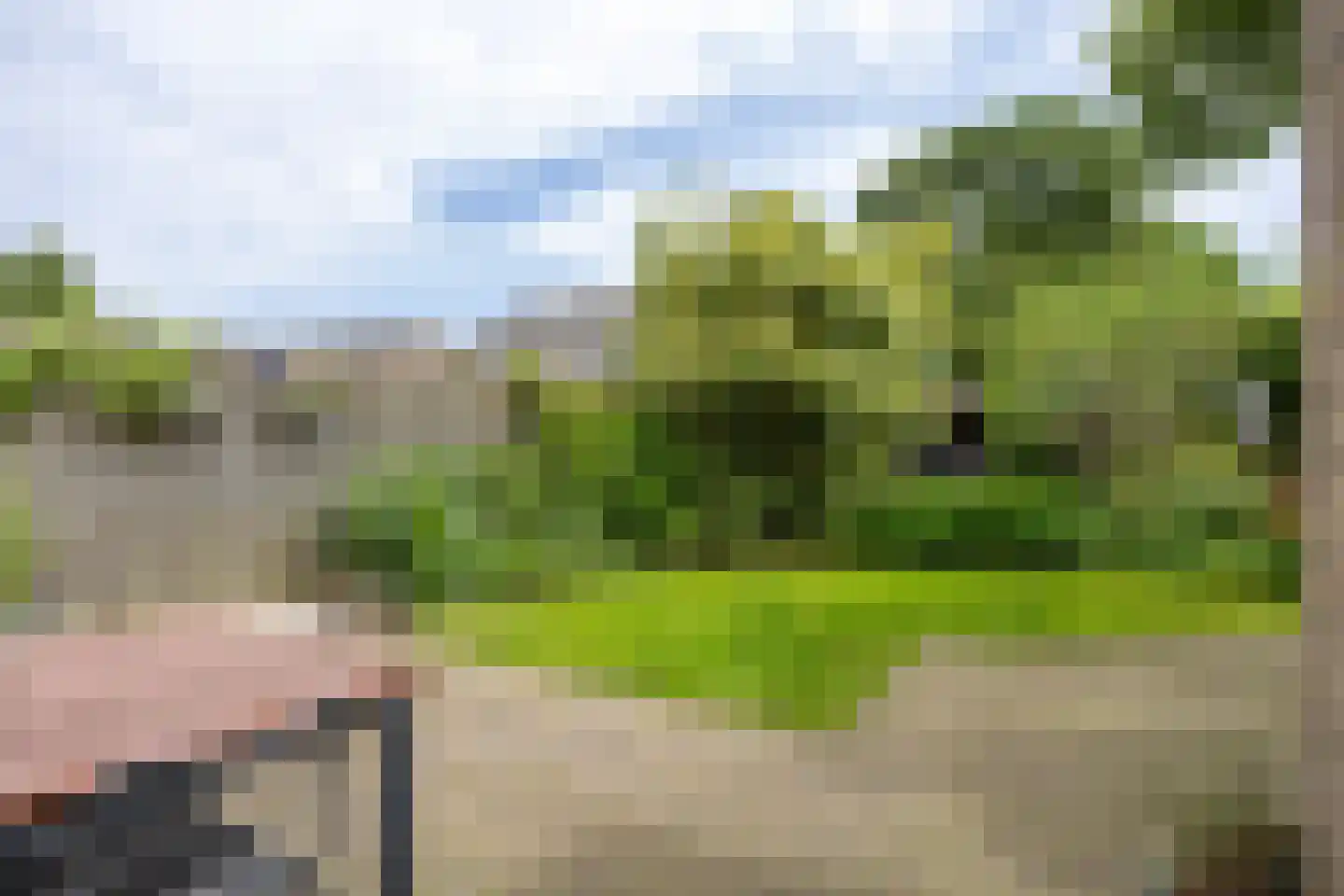 De Lijnbaan 44 Bedum thumbnail 51
