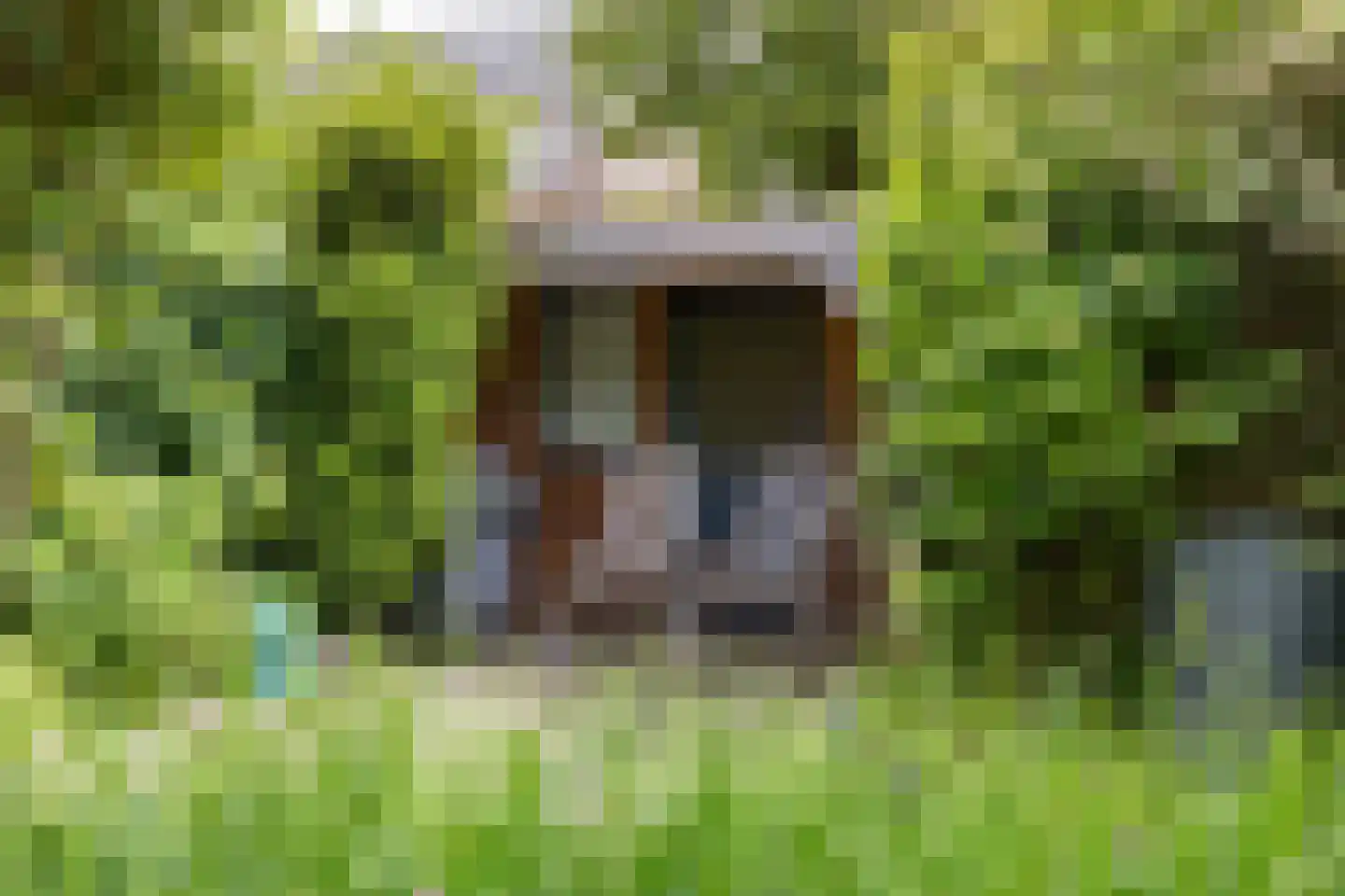 De Lijnbaan 44 Bedum thumbnail 53