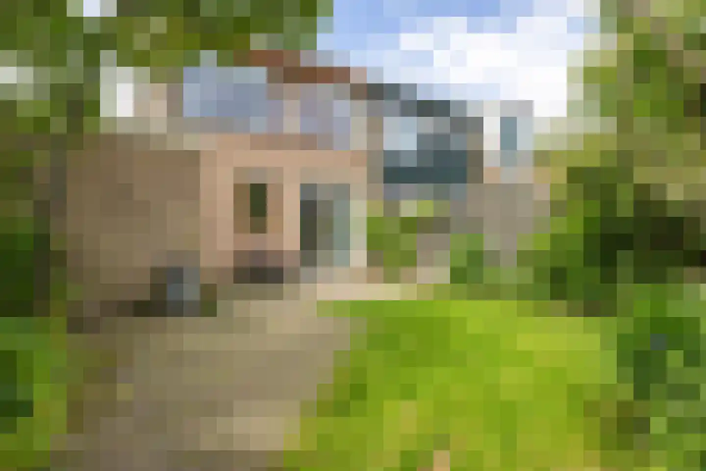 De Lijnbaan 44 Bedum thumbnail 56