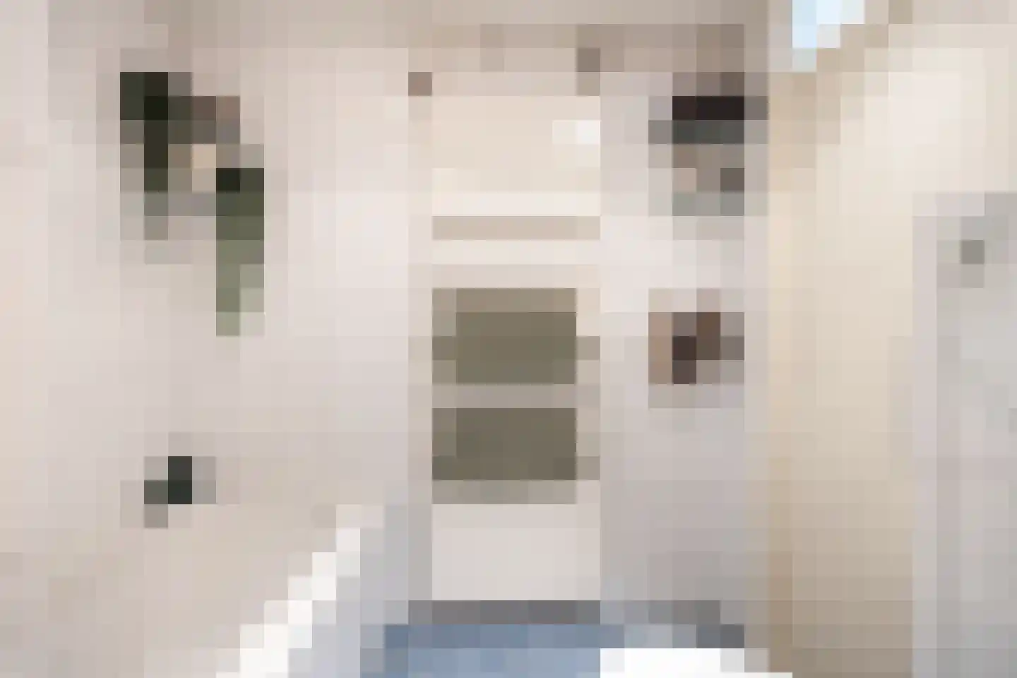 De Lijnbaan 55 Bedum thumbnail 22