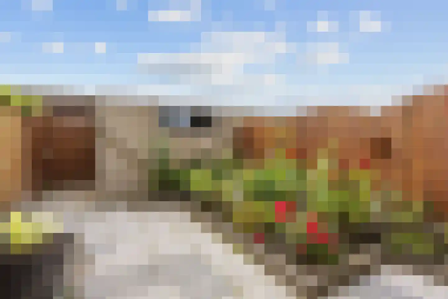 De Lijnbaan 55 Bedum thumbnail 26