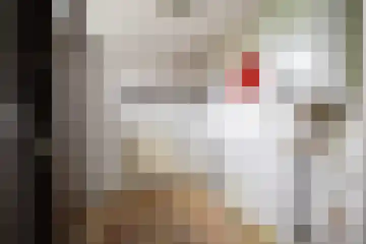 De Lijnbaan 6 Bedum thumbnail 22