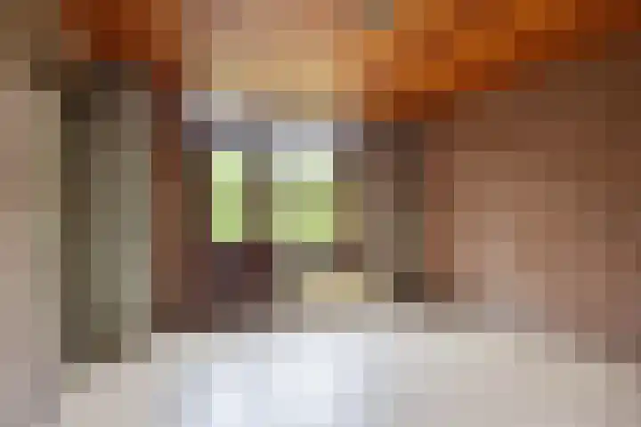 De Lijnbaan 6 Bedum thumbnail 24