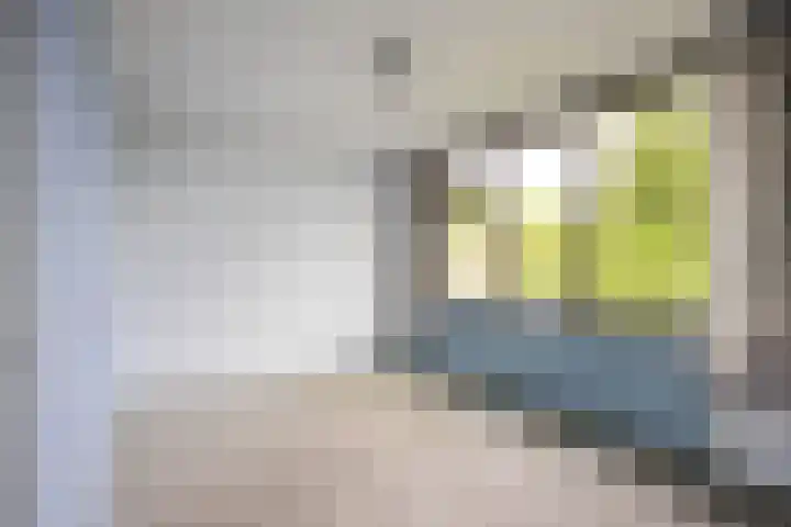 De Lijnbaan 6 Bedum thumbnail 34