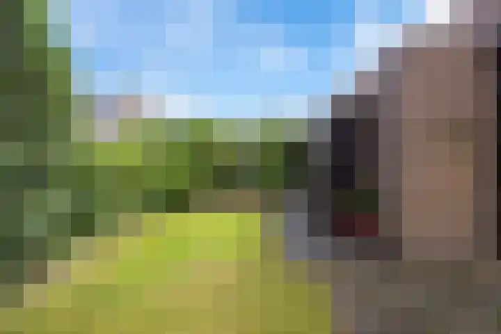 De Lijnbaan 6 Bedum thumbnail 47