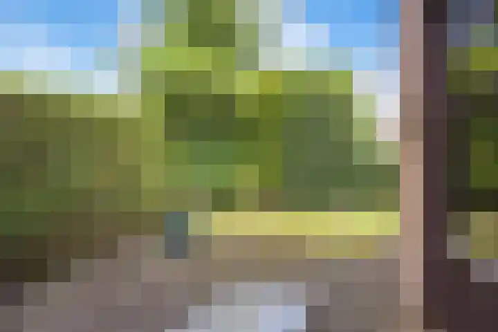 De Lijnbaan 6 Bedum thumbnail 48
