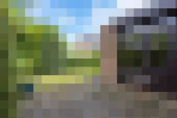 De Lijnbaan 6 Bedum thumbnail 49