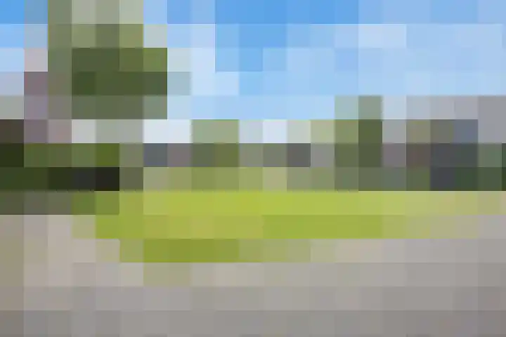 De Lijnbaan 6 Bedum thumbnail 5