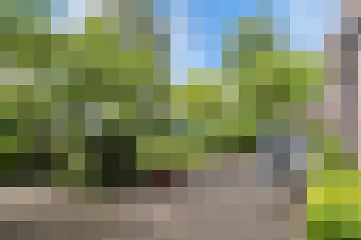 De Lijnbaan 6 Bedum thumbnail 7