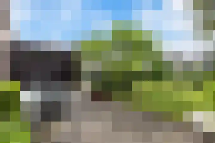 De Lijnbaan 6 Bedum thumbnail 8