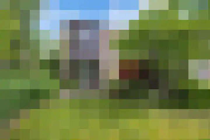 De Lijnbaan 6 Bedum thumbnail 9
