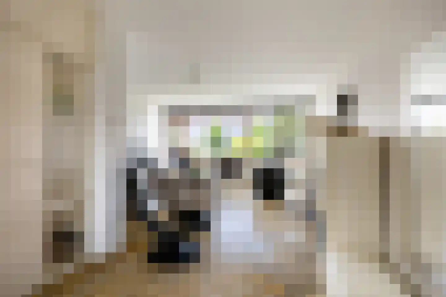 De Lijnbaan 72 Bedum thumbnail 10