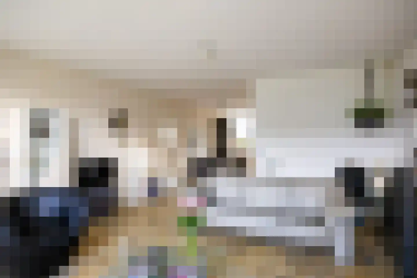 De Lijnbaan 72 Bedum thumbnail 13
