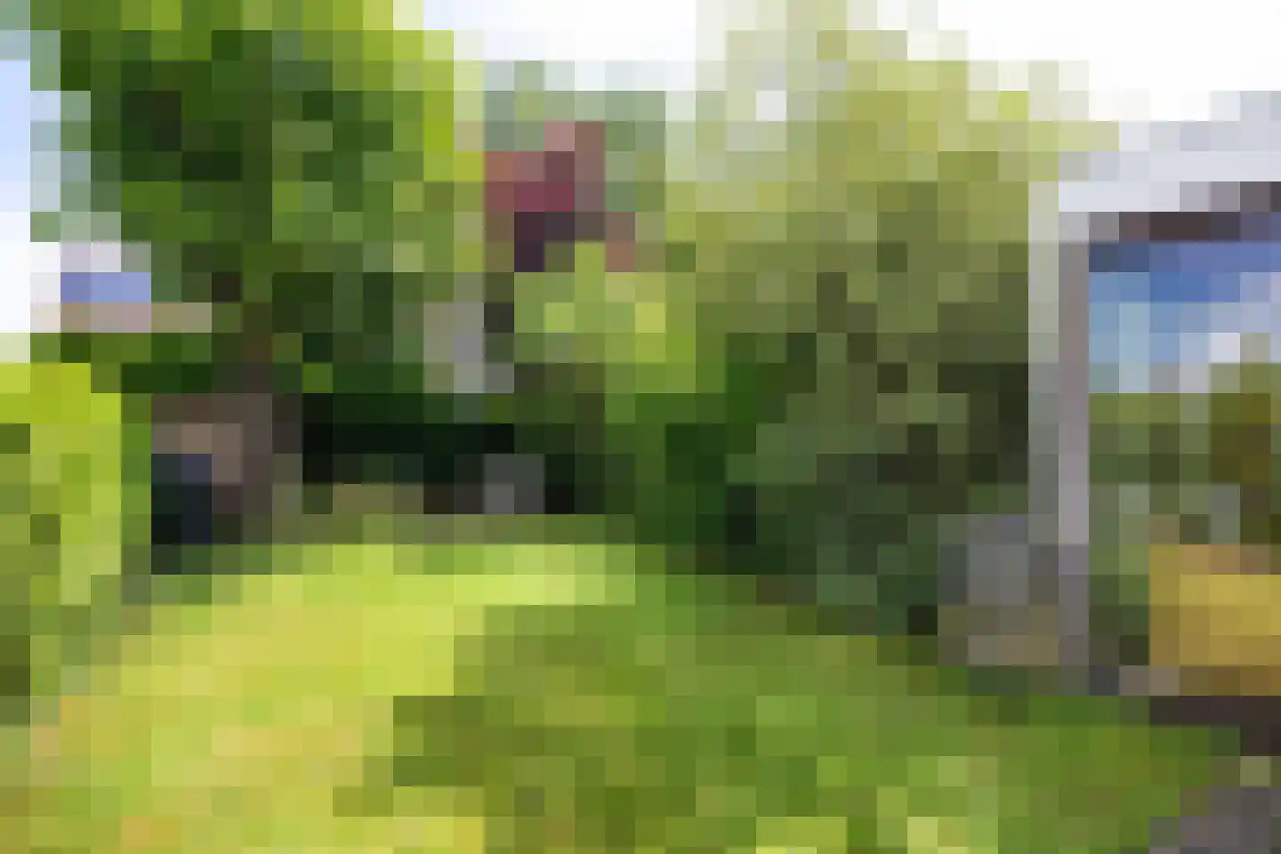 De Lijnbaan 72 Bedum thumbnail 33