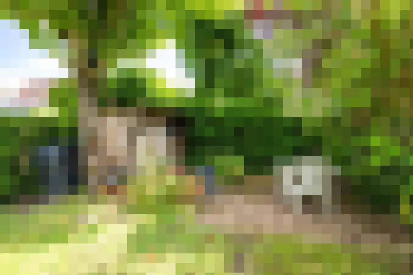 De Lijnbaan 72 Bedum thumbnail 34
