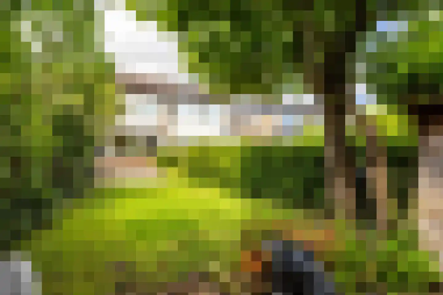 De Lijnbaan 72 Bedum thumbnail 35