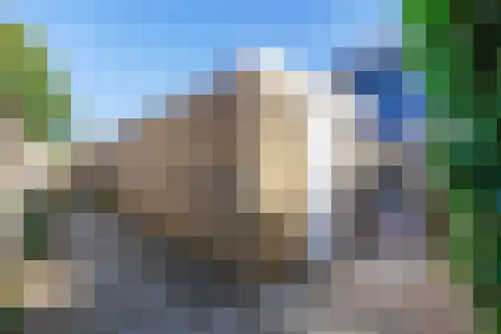 De Lijnbaan 83 Bedum thumbnail 36