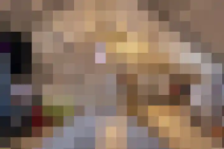 De Lijndrijver 19 Grubbenvorst thumbnail 15