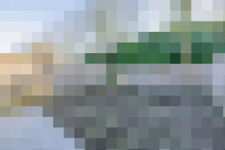 De Lijndrijver 19 Grubbenvorst thumbnail 16