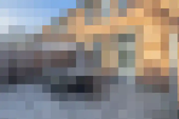 De Lijndrijver 19 Grubbenvorst thumbnail 19