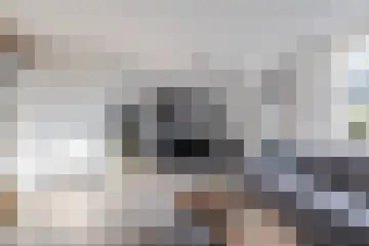 De Lijndrijver 19 Grubbenvorst thumbnail 4