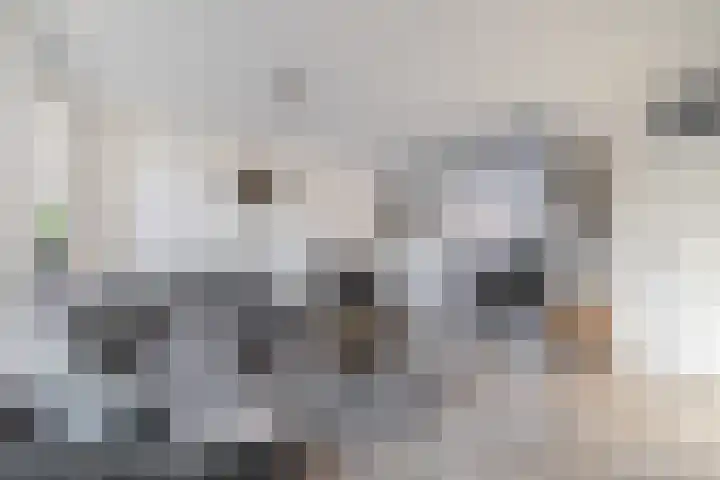De Lijndrijver 19 Grubbenvorst thumbnail 5