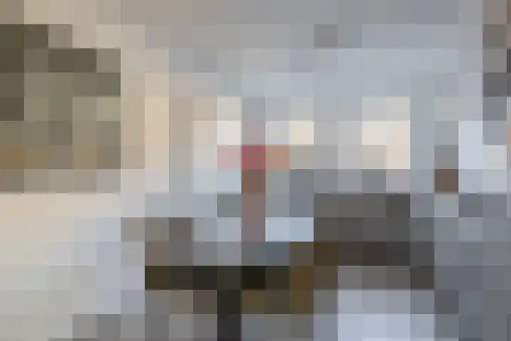 De Lijndrijver 19 Grubbenvorst thumbnail 6