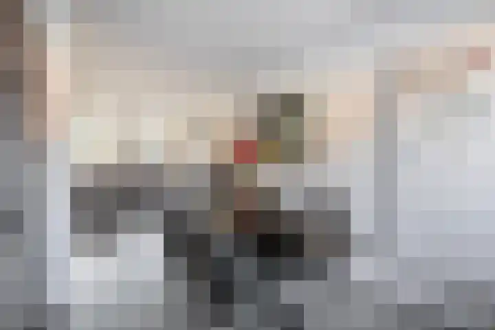 De Lijndrijver 19 Grubbenvorst thumbnail 7