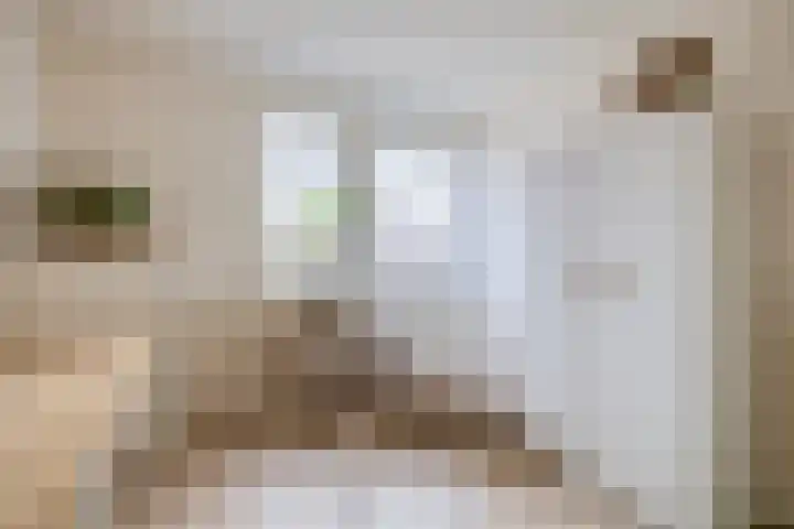 De Lijndrijver 3 Grubbenvorst thumbnail 12