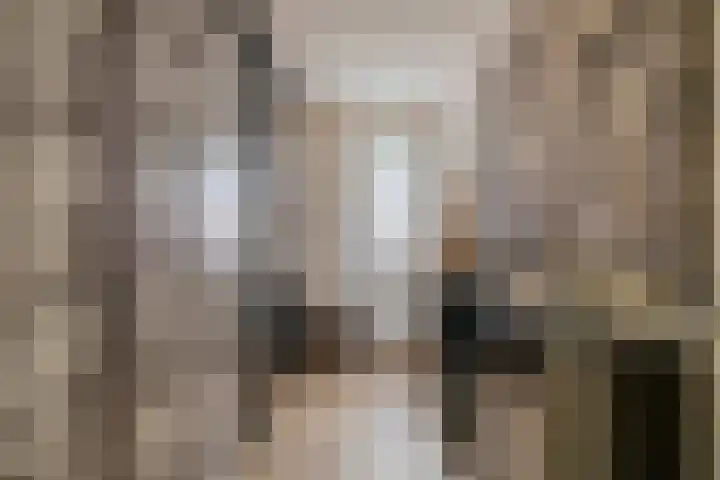 De Lijndrijver 3 Grubbenvorst thumbnail 13