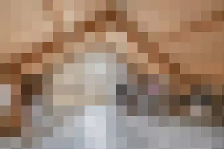 De Lijndrijver 3 Grubbenvorst thumbnail 17