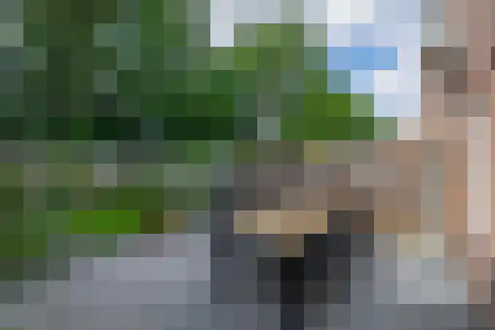De Lijndrijver 3 Grubbenvorst thumbnail 18