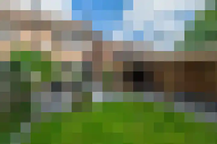 De Lijndrijver 3 Grubbenvorst thumbnail 19