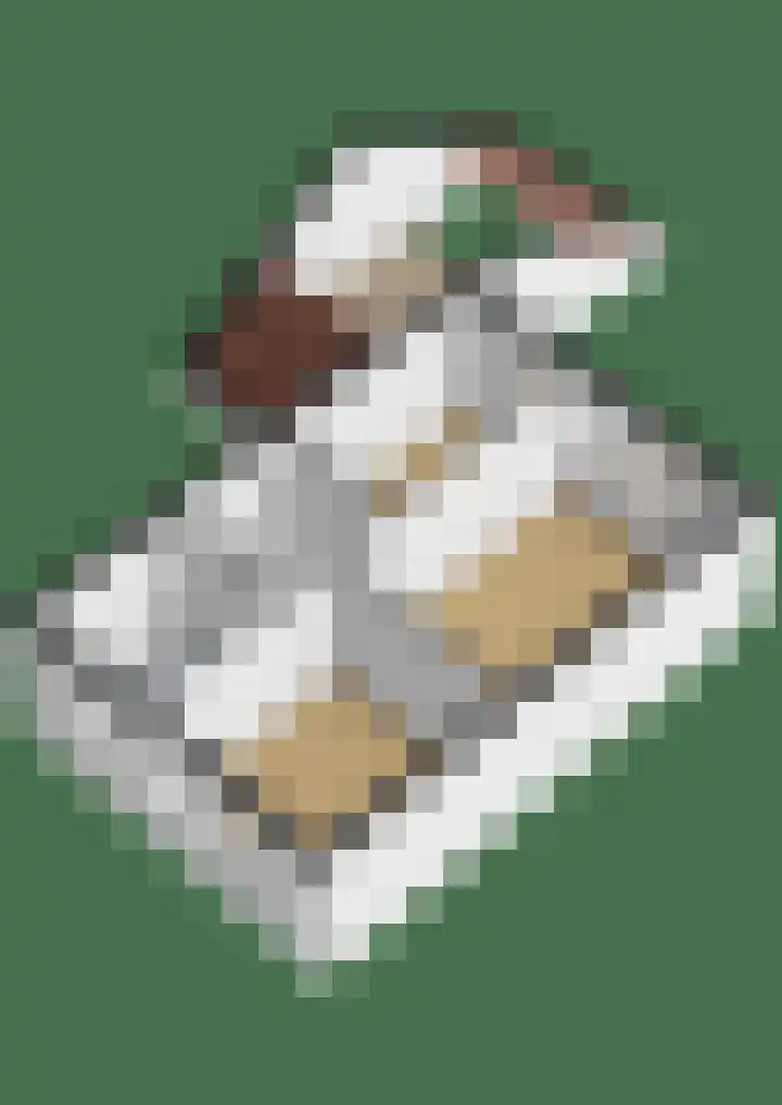 De Lijndrijver 3 Grubbenvorst thumbnail 27