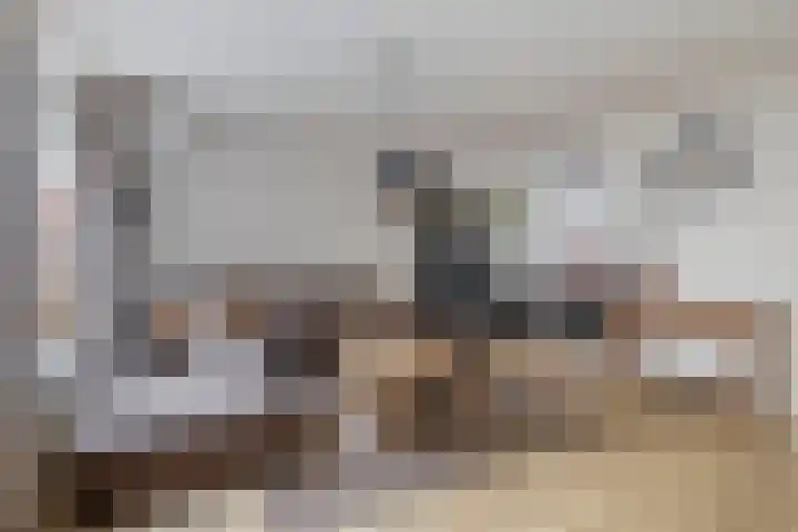 De Lijndrijver 3 Grubbenvorst thumbnail 4