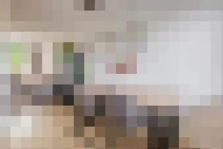 De Lijndrijver 3 Grubbenvorst thumbnail 5