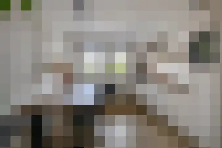 De Lijndrijver 3 Grubbenvorst thumbnail 6
