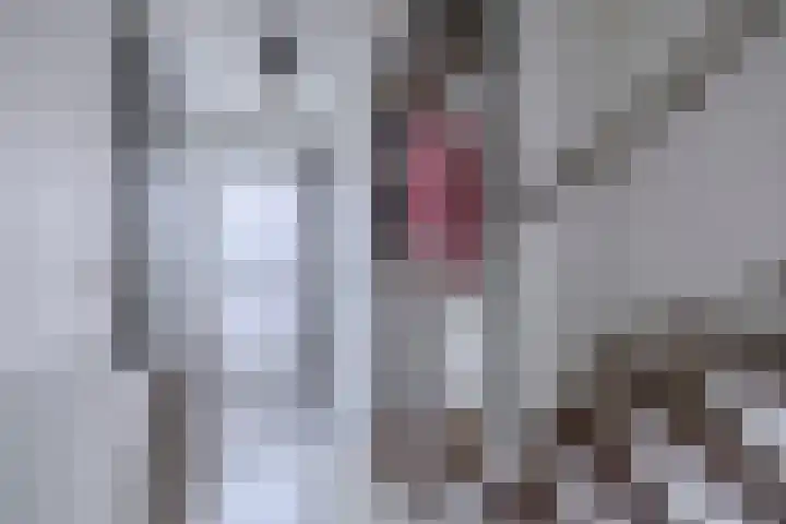 De Lijndrijver 3 Grubbenvorst thumbnail 9