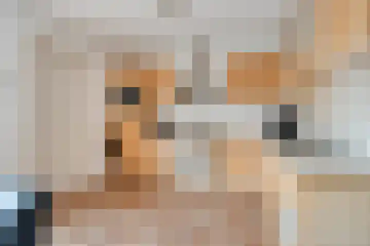 De Lijnstukken 21 Buinen thumbnail 10