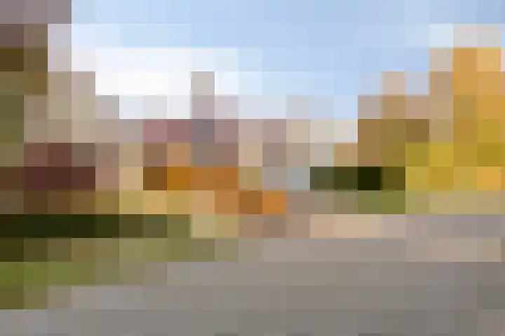 De Lijnstukken 21 Buinen foto 2