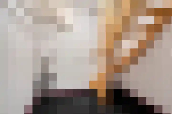 De Lijnstukken 21 Buinen thumbnail 22