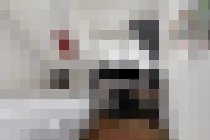 De Lijnstukken 21 Buinen thumbnail 31