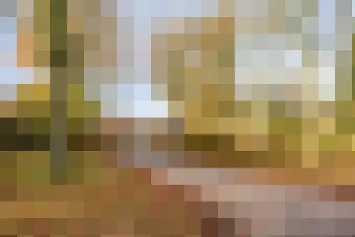 De Lijnstukken 21 Buinen thumbnail 39