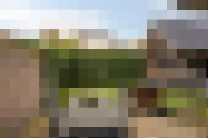De Lijnstukken 21 Buinen thumbnail 40