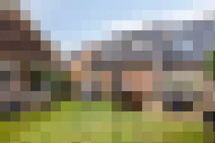 De Lijnstukken 21 Buinen thumbnail 41