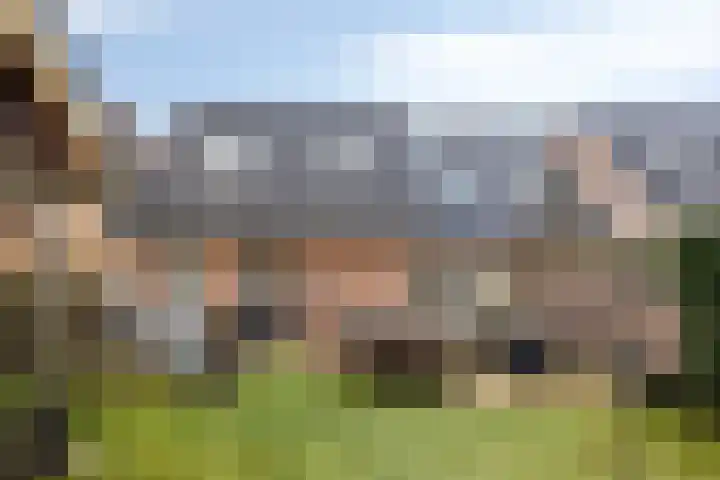 De Lijnstukken 21 Buinen thumbnail 42