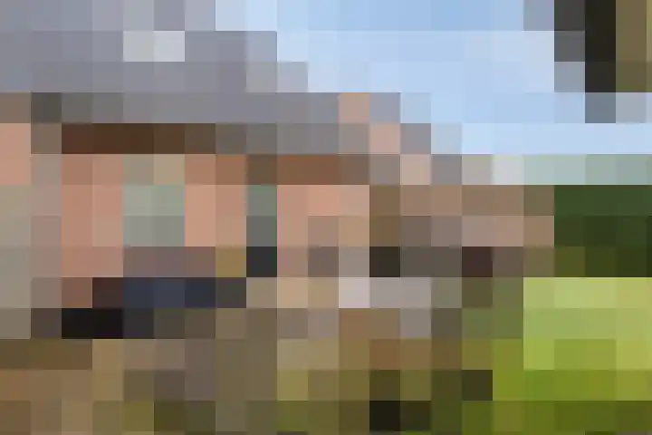 De Lijnstukken 21 Buinen thumbnail 43