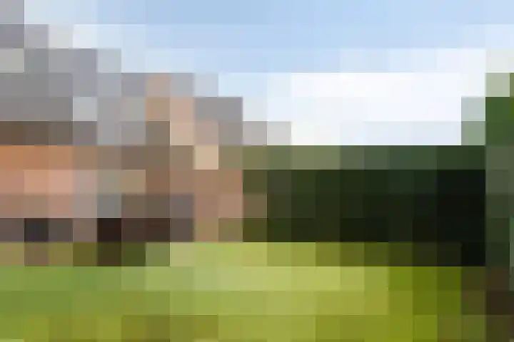 De Lijnstukken 21 Buinen thumbnail 45