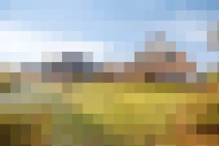 De Lijnstukken 21 Buinen thumbnail 47